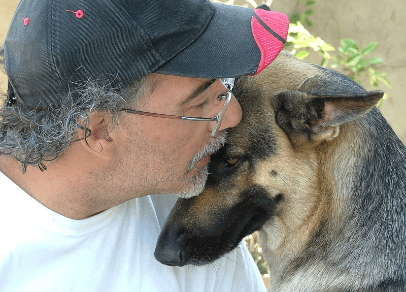 Therapy Dog German Shepherd