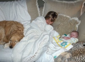 Introducing a Dog to a Baby