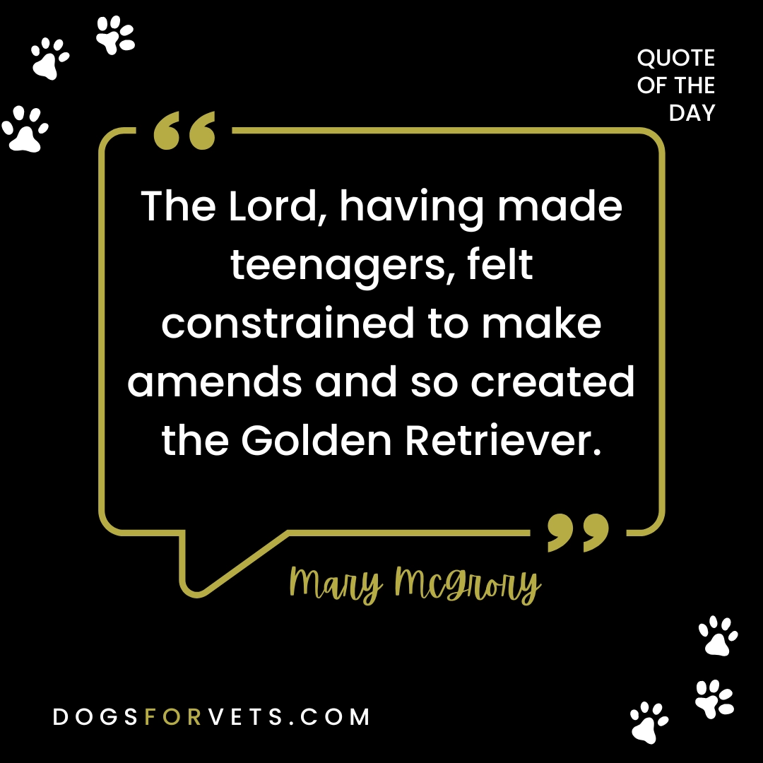 how often do golden retrievers need to be groomed quote