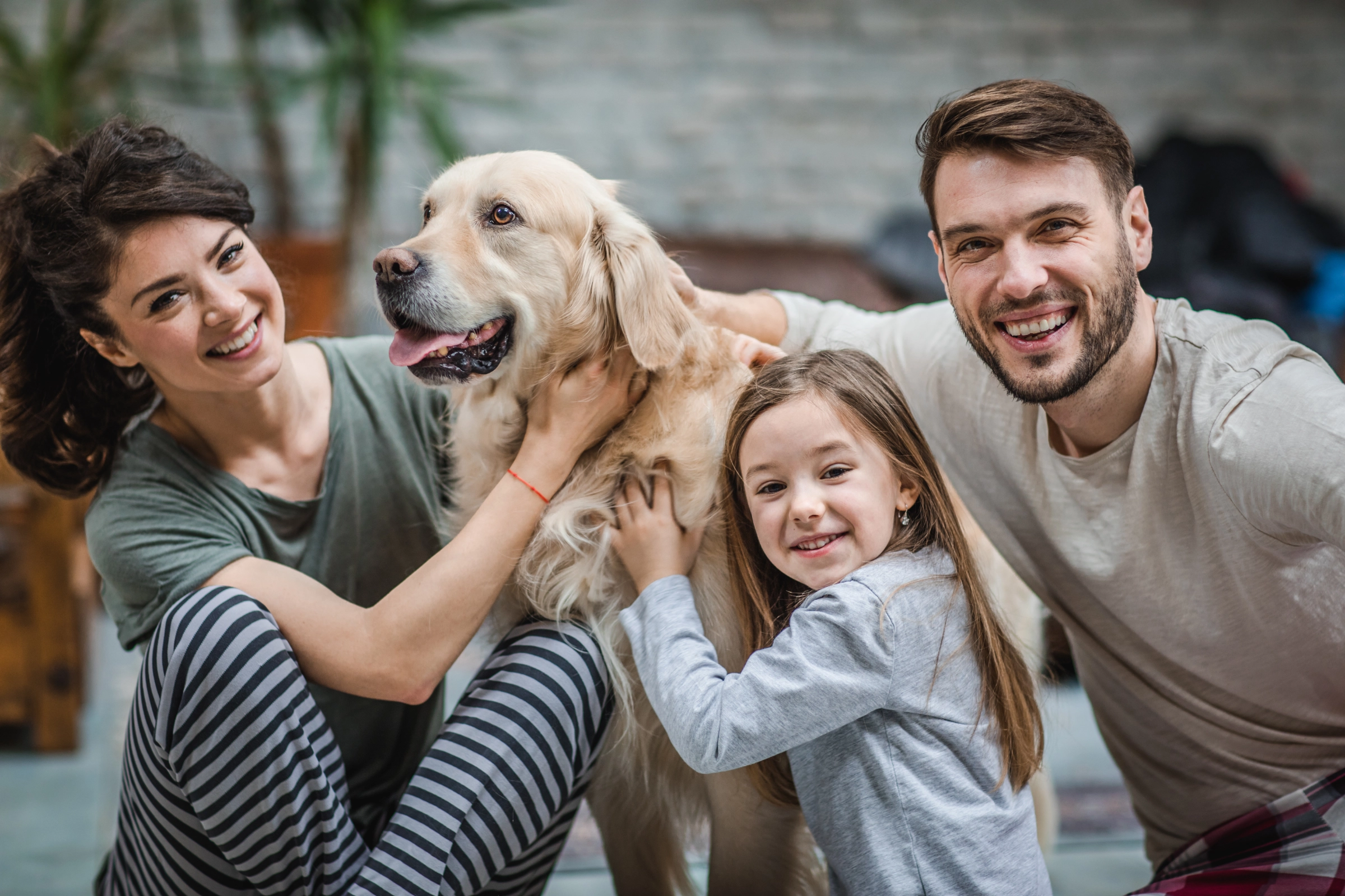 Are Golden Retrievers Outside Dogs? Fetching the Real Truth