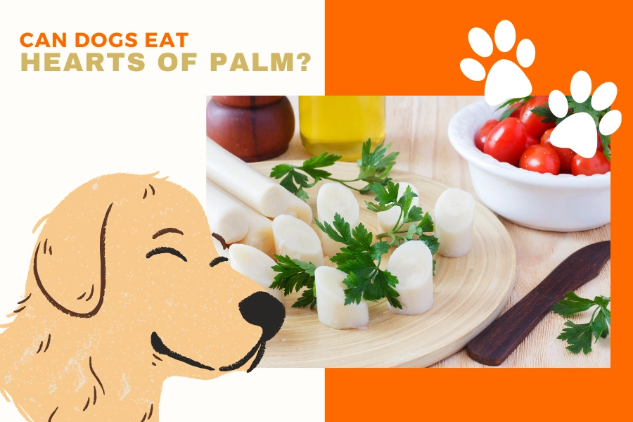 can dogs eat hearts of palm