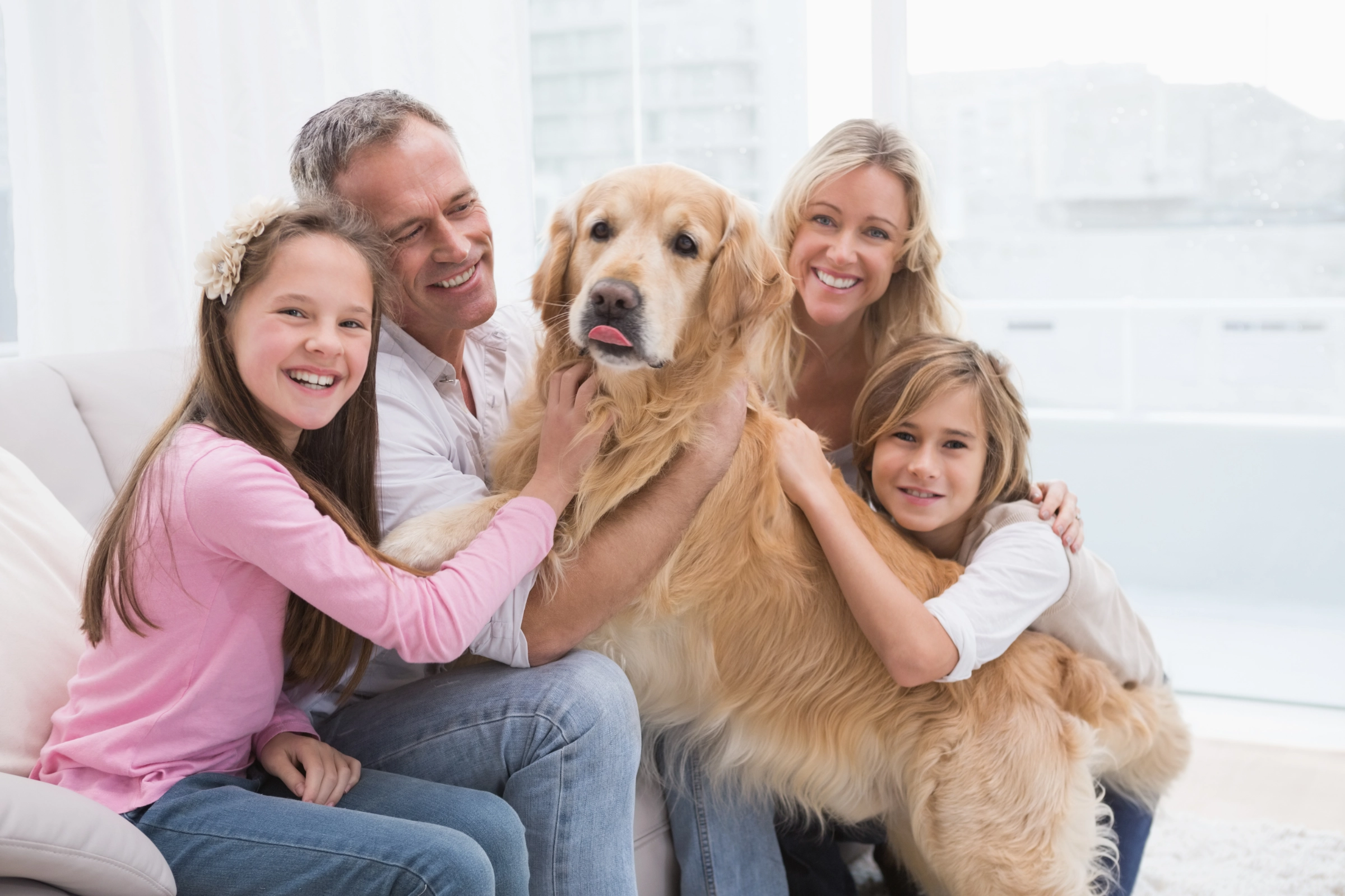 golden retriever in house with family