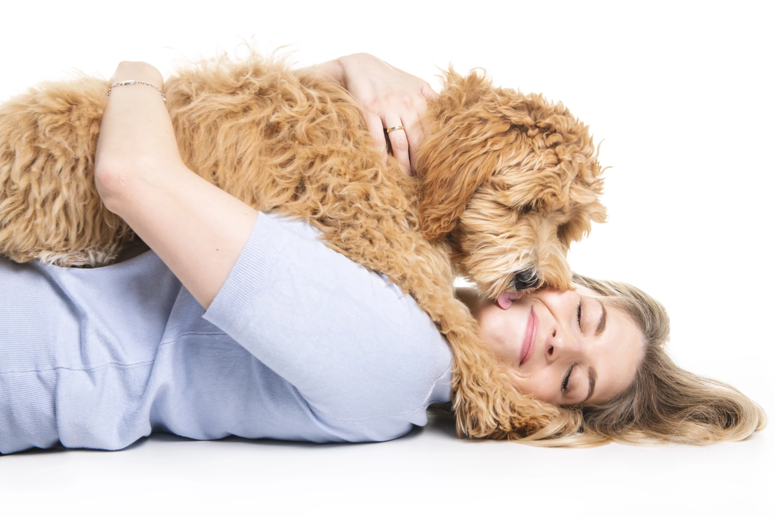 goldendoodle laying on woman