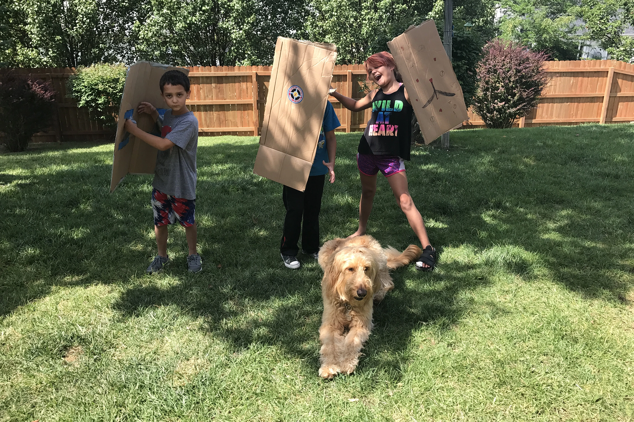goldendoodle with kids