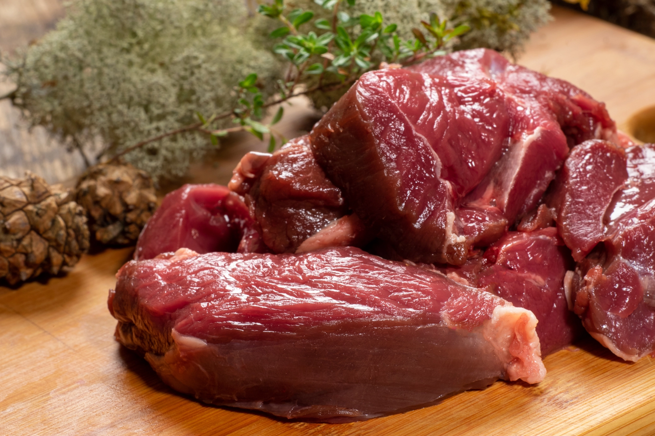 ground venison steaks for dogs