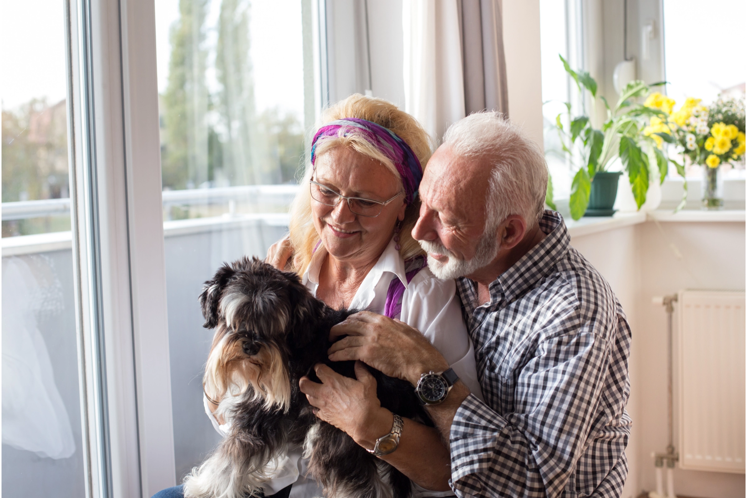best dogs for seniors in apartments