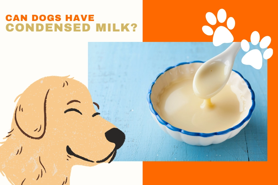 can dogs have condensed milk