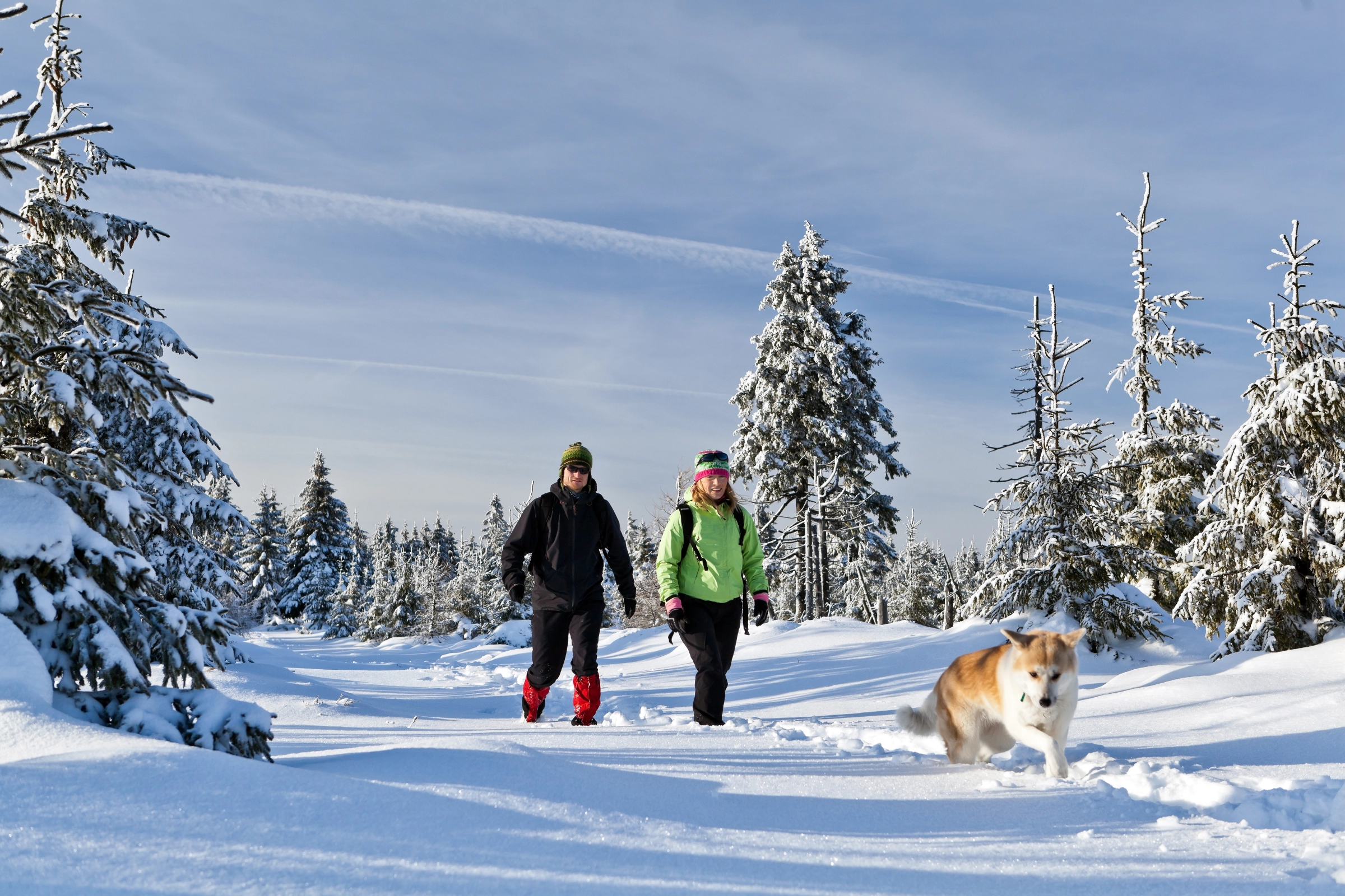 couple hiking with dog winter