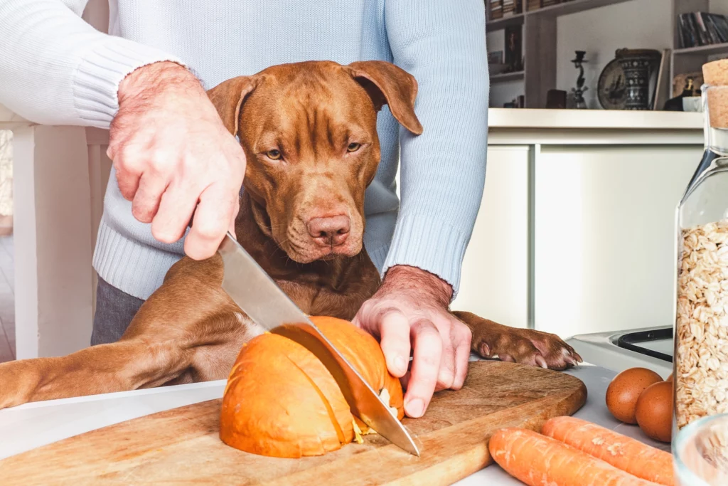 dried pumpkin for dogs