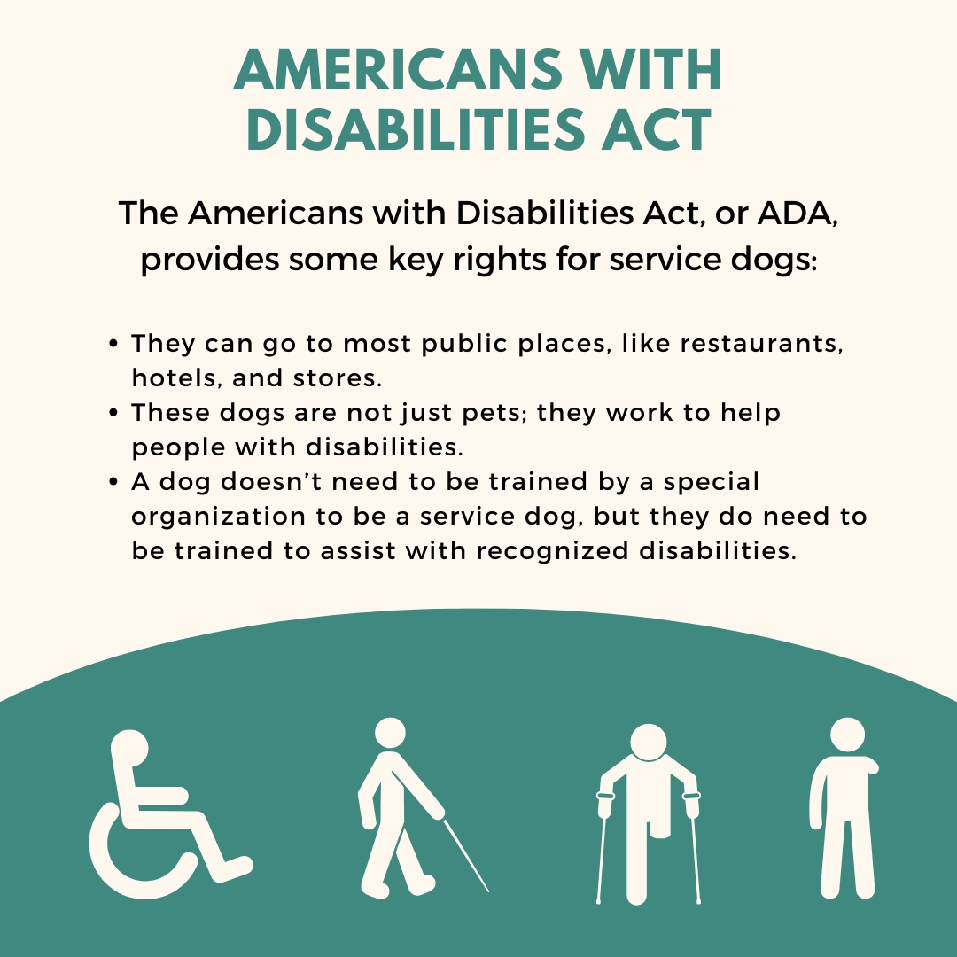 americans with disabilities act infographic