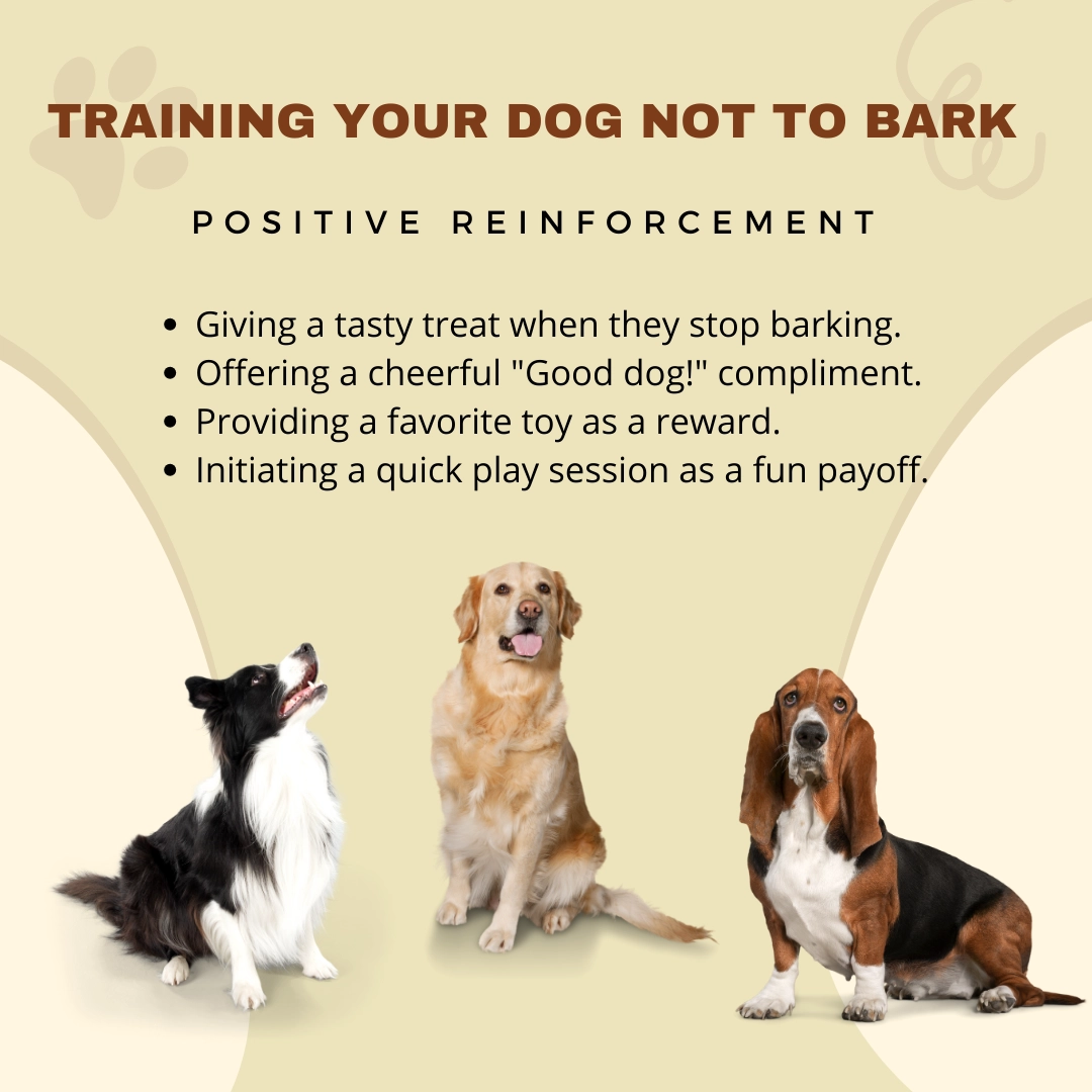 positive reinforcement dog training for barking
