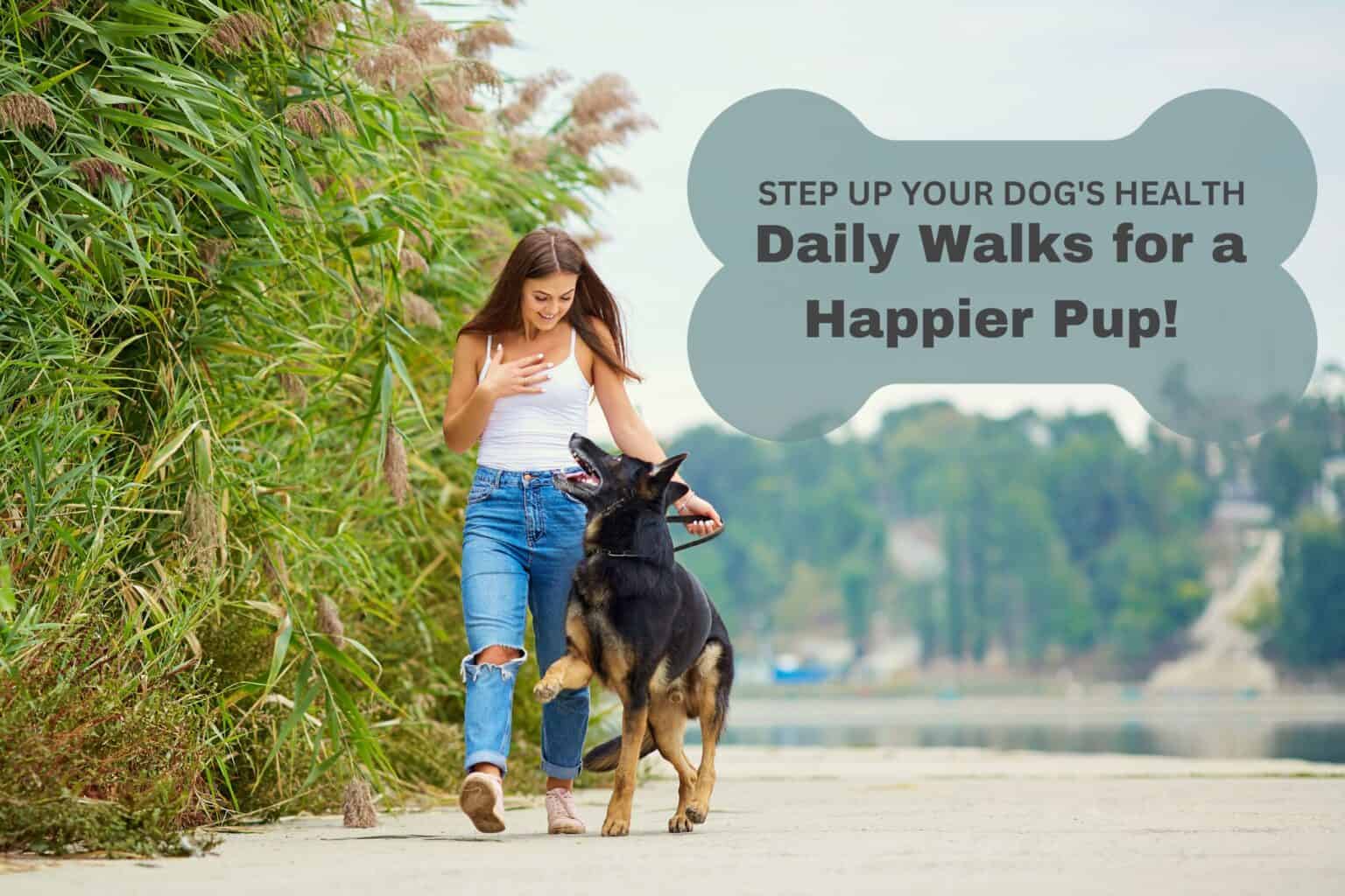 Benefits of Daily Walks for Dogs: On the Move Walking Your Do