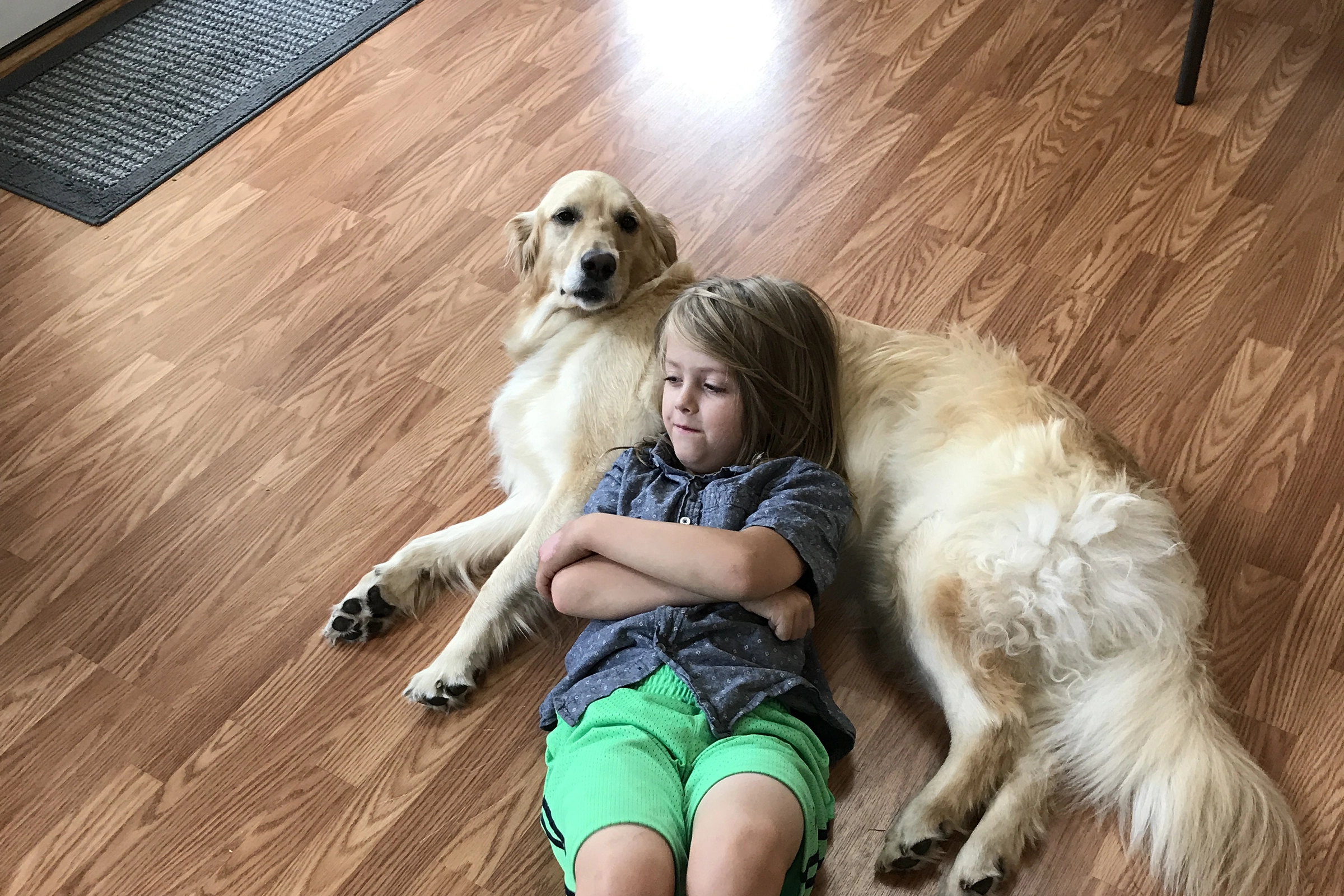 Golden retriever kid sales friendly