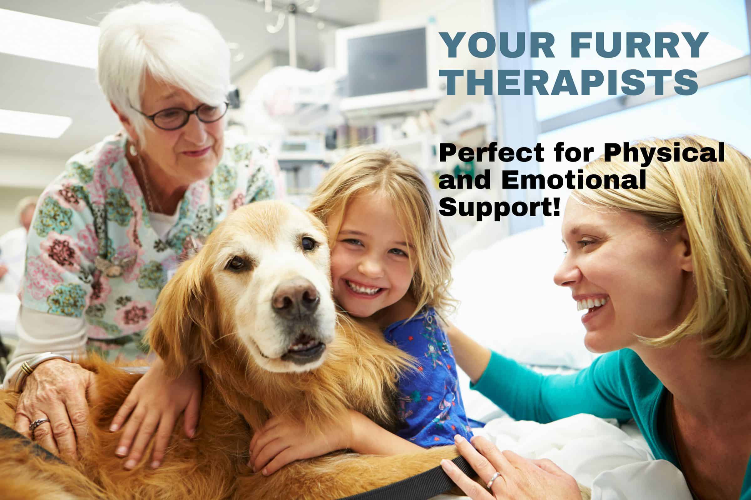 good reasons to get a dog therapy