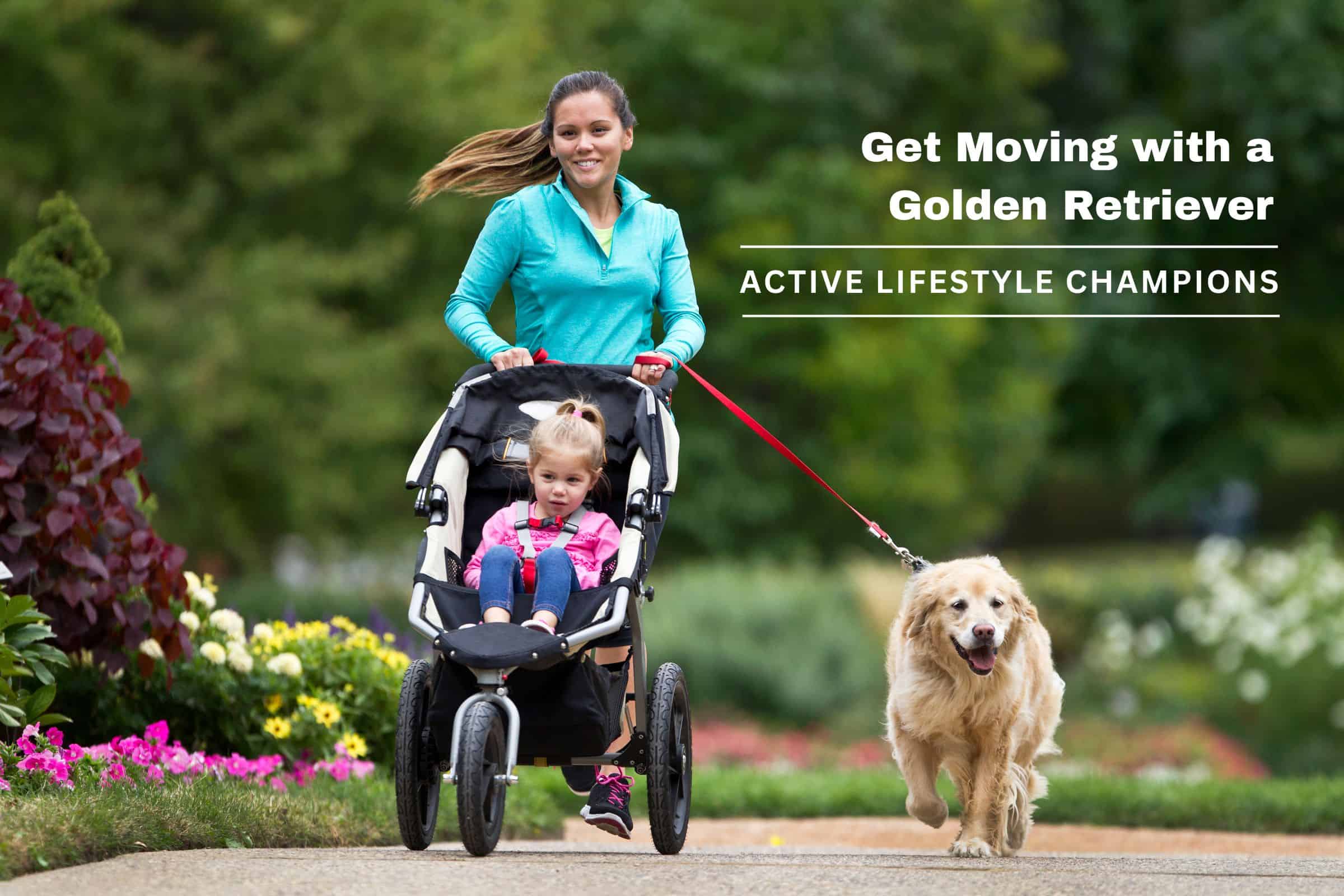 jogging with a golden retriever