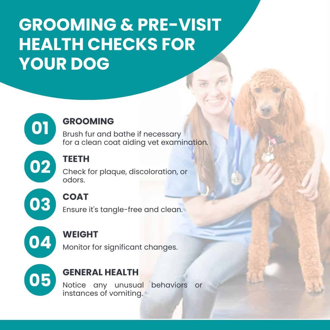 pre visit health check for dogs
