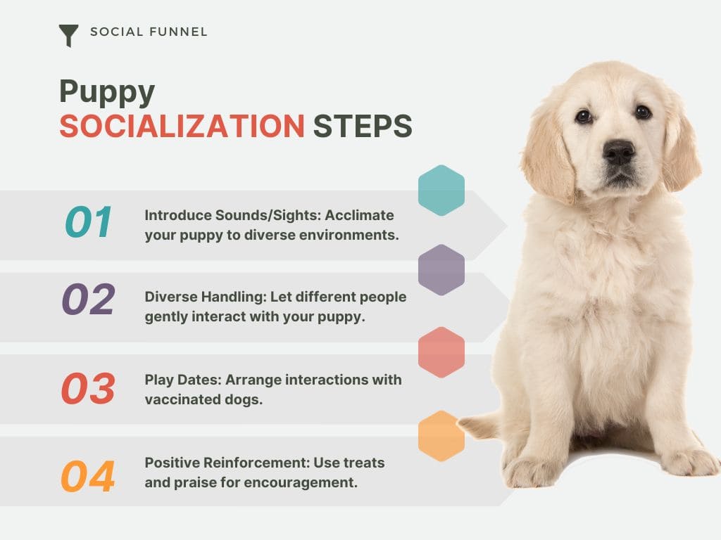 puppy dog socialization steps