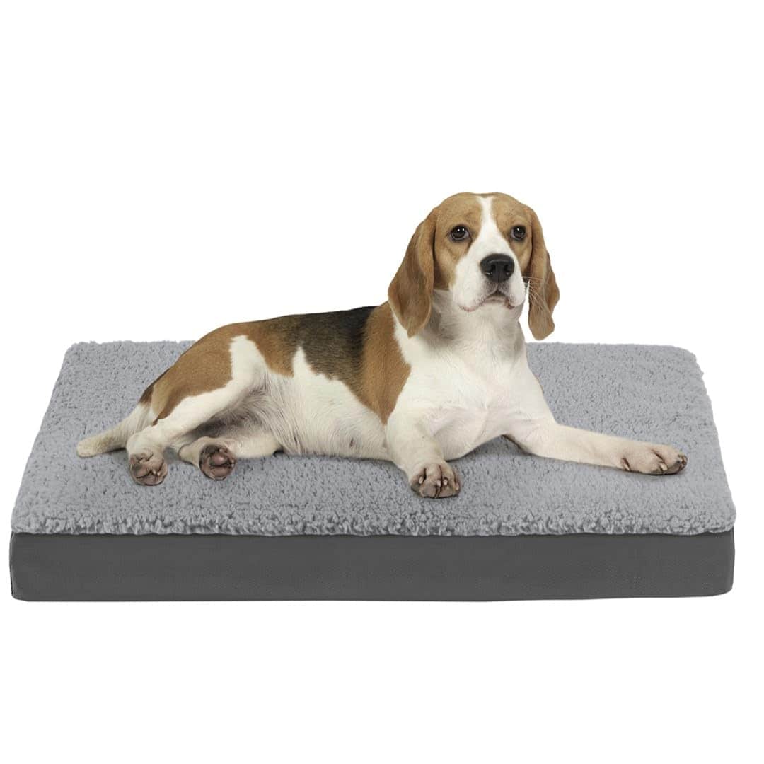 Codi Orthopedic memory foam bed for senior dogs