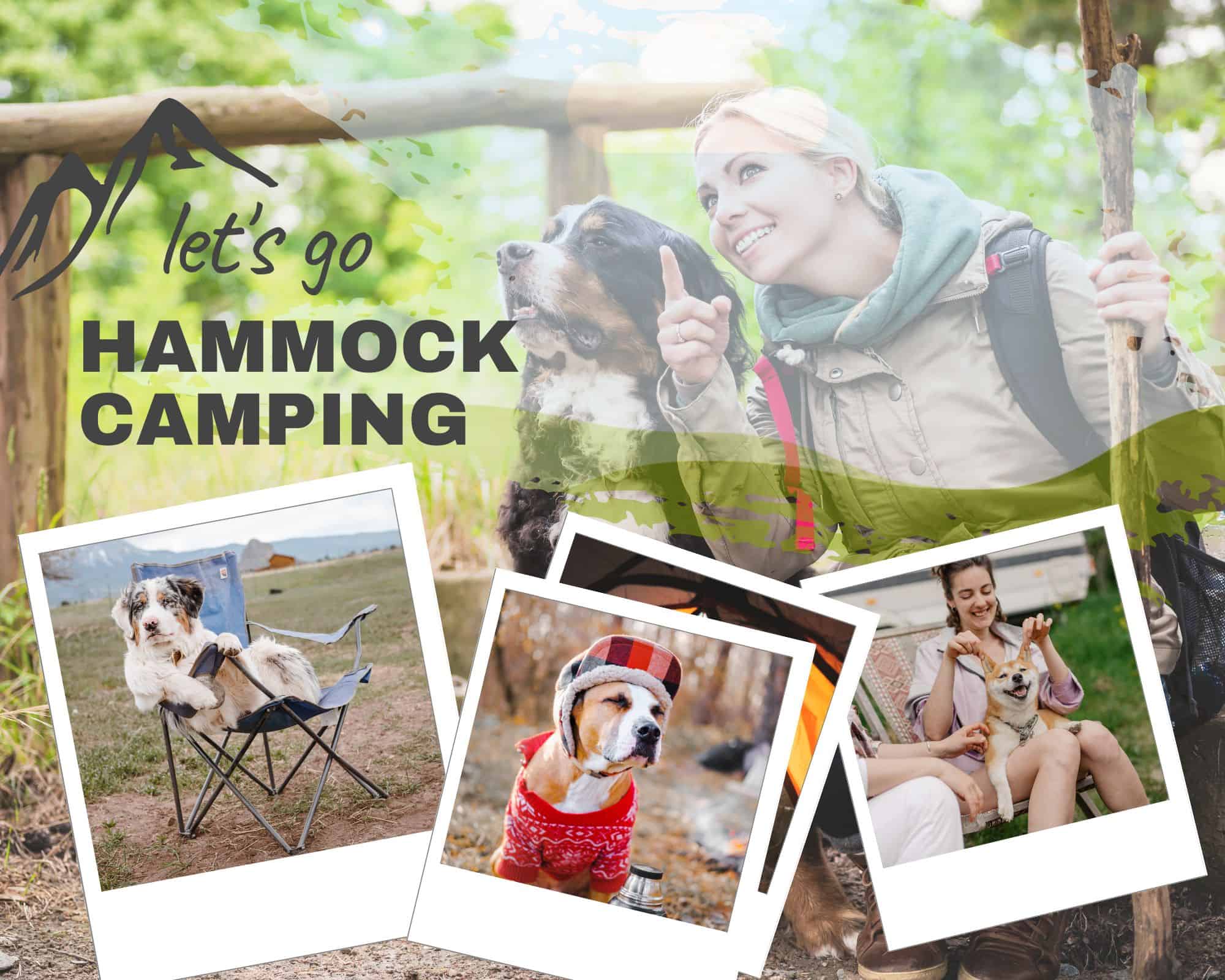 photo collage hammock camping dogs