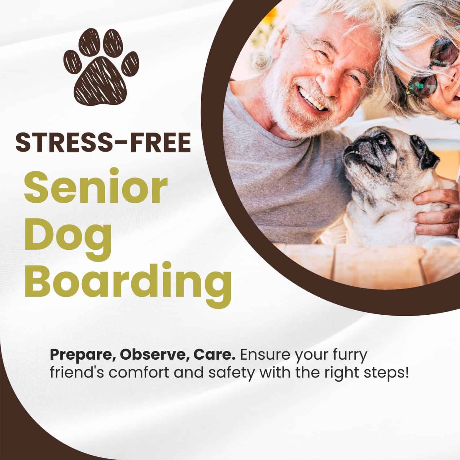 stress free older dog boarding